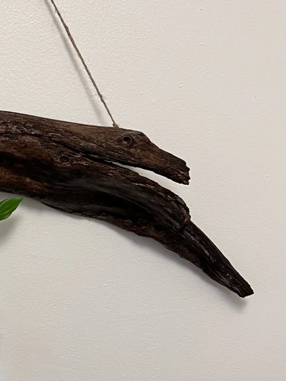 Handcrafted Driftwood Wall Hanging with Glass Bud Vase - Brown